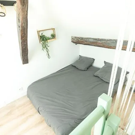 Immeuble L'aristocrate - Le Boho- Bd Carnot דירה אנז'ה