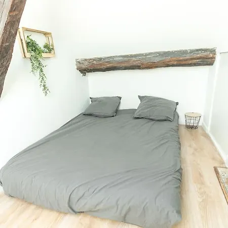 Immeuble L'aristocrate - Le Boho- Bd Carnot * אנז'ה