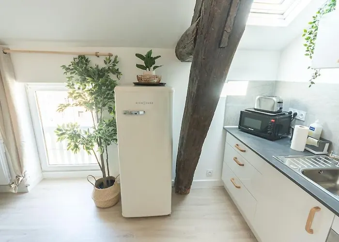 Immeuble L'aristocrate - Le Boho- Bd Carnot *