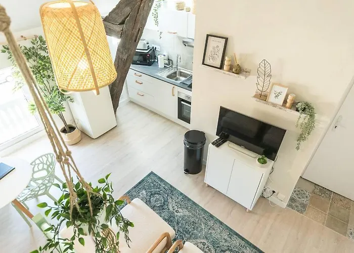 Apartment Immeuble L'aristocrate - Le Boho- Bd Carnot Angers